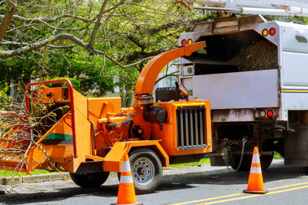 Lemont Furnace, PA Tree Removal and Landscaping Services Company